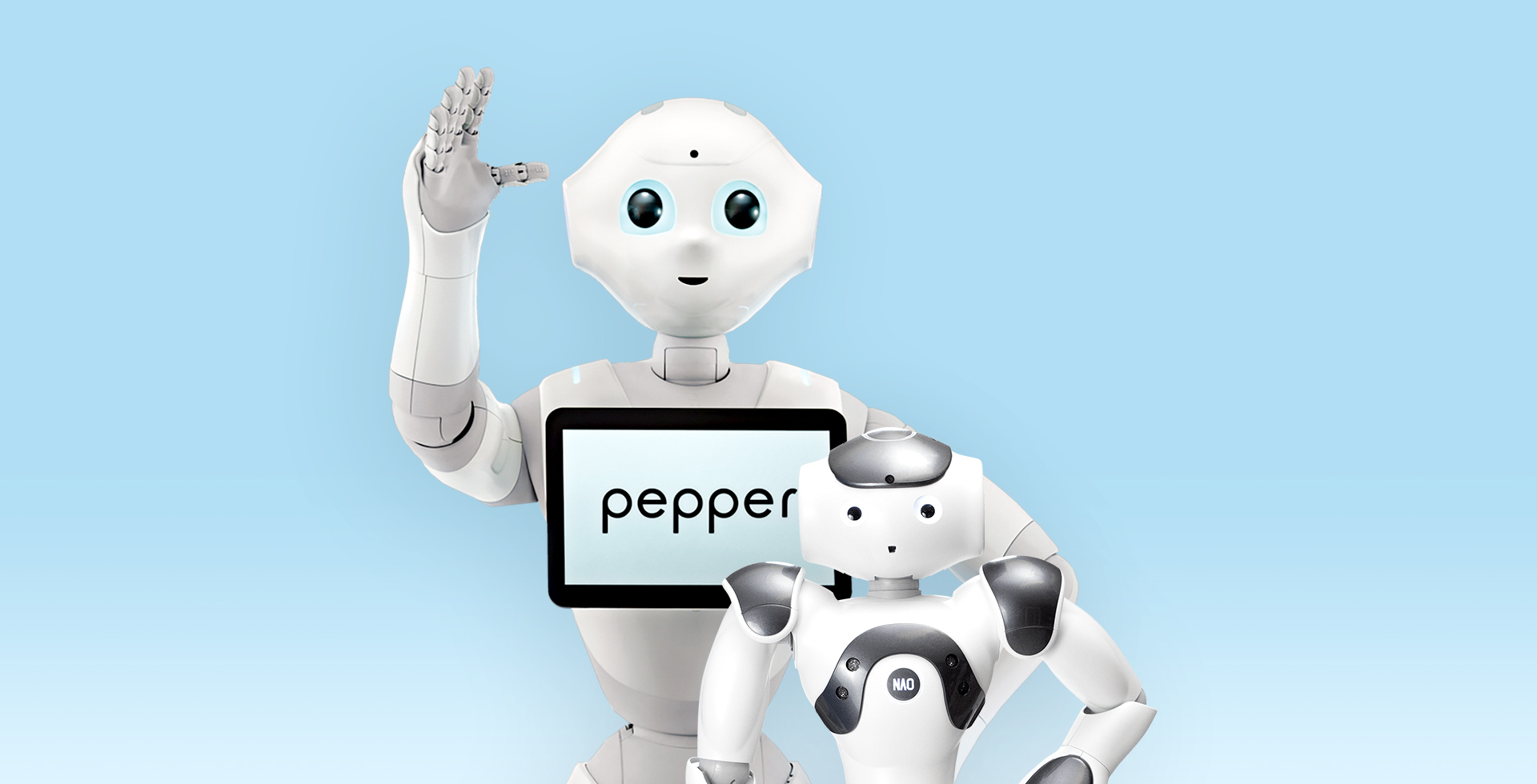 Mr pepper